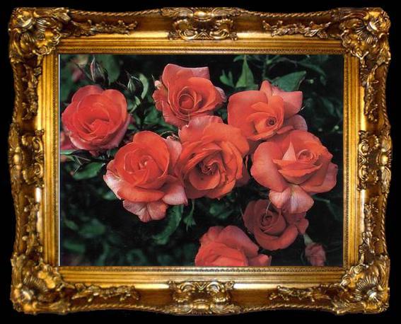 framed  unknow artist Still life floral, all kinds of reality flowers oil painting  264, ta009-2
